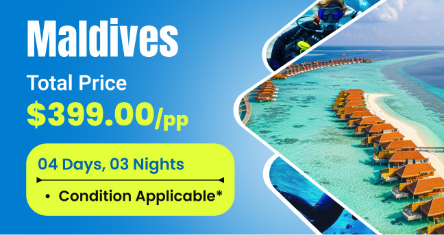 Discount 1