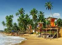 Unforgettable Moments from Our North Goa Tour